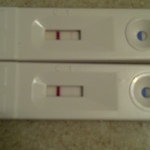 8 days post embryo transfer. Faint BFP