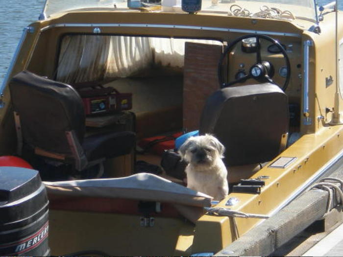 my trustee seadog on my privious boat, at coon island.