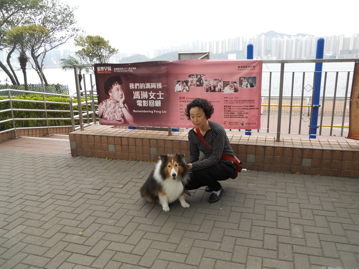 lady with shelty in hong kong park