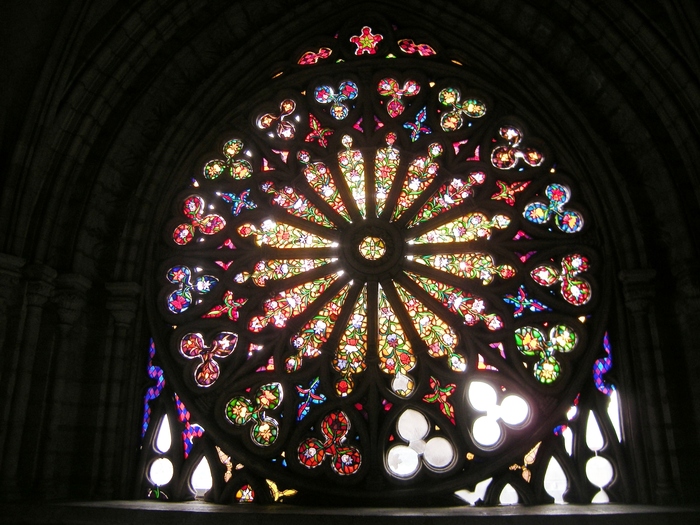 Stained Glass Representing  All Different Kinds of Orchids in Ecuador