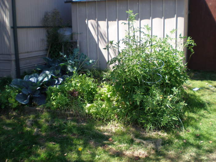 garden got kind of out of hand last year lol!