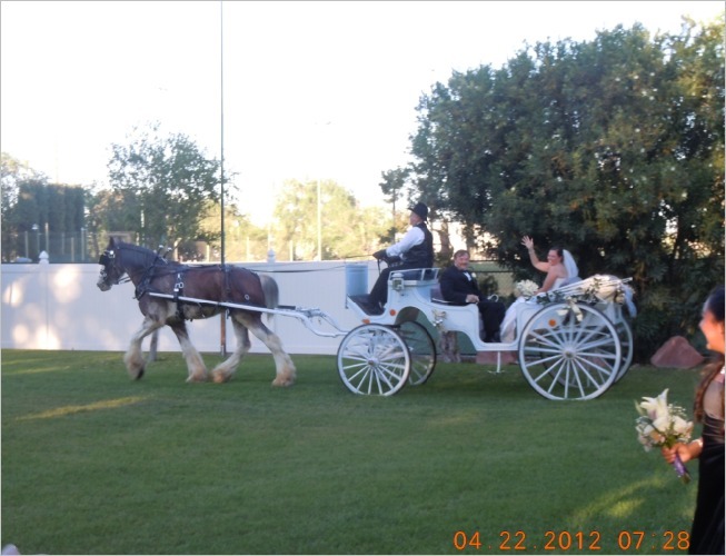 Kim's arrival, complete with horse & carriage