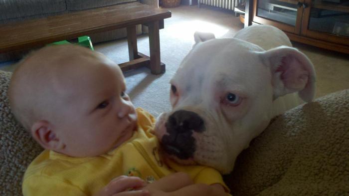 The dog thinks this is her baby!