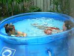 my 17 yr old daughter and hubby swimming in the rain in the kiddy pool...they are nuts!