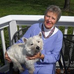 Our Rescue Westie - about 8 years old April 2012 Gone too soon 12-3-2014
