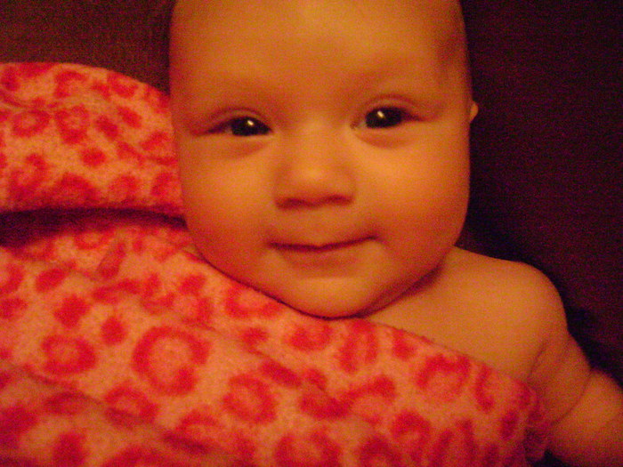 Gemma, 2 months old