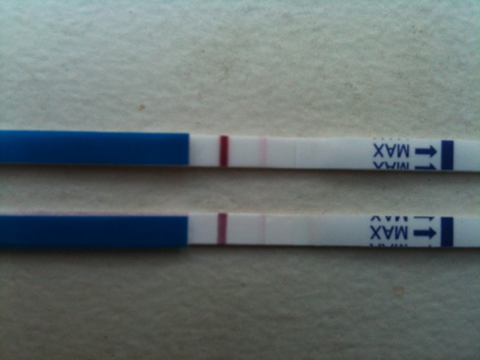 Bottom test is FMU, Top is this evening's.  still BFP! :) 