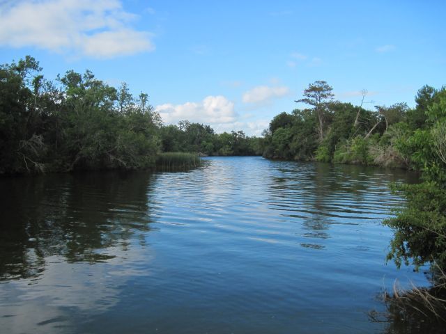 This is the bayou I live on....very peaceful