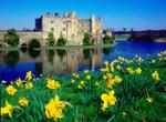 Leeds Castle , really beautiful with all the spring time flowers  around it 