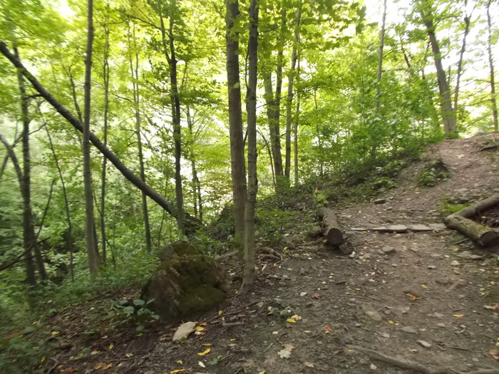 It's hard to see the perspective of the slope of these trails.