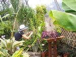 our gardener @ botanical gardens