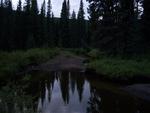 A little stream we happened upon while moose hunting (with camera of course)