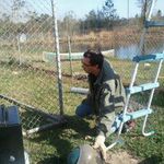 husband welding on chicken coop