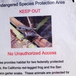 Red legged frog protected area