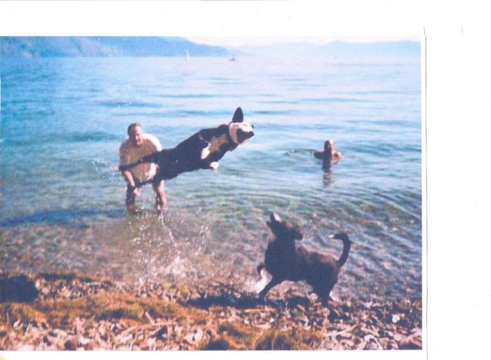 Dogs at Lake