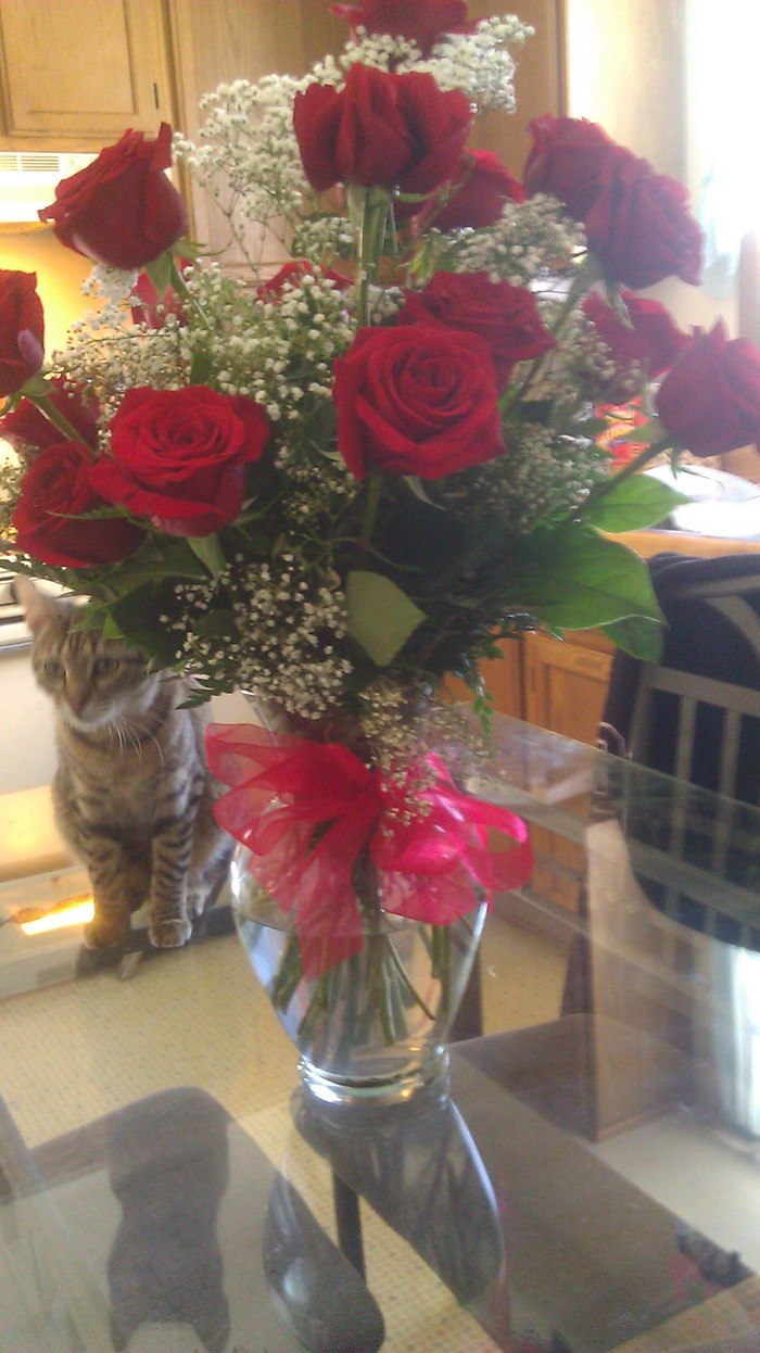 My roses daddy had deliverd to the hospital (the pic is @ home)