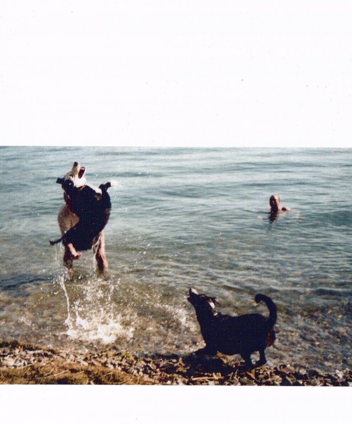 Jumping Boy & Barking Girl