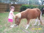 the miniature horse at my birthday party
