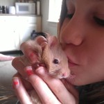My daughter and Mr. Wiggles the Hamster
