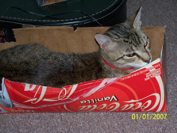 Sasha In Vanilla Coke Box: Her Fav Spot: CAP IMAGES (C) 2008