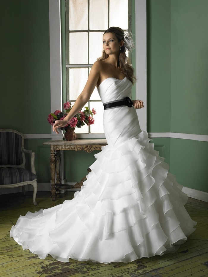 The wedding dress I am going to get