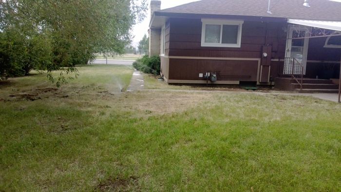 the dogs habe destroyed the lawn! we just had an underground sprinkler system  installed