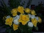 Belated Birthday Roses...