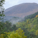 mist on top of tress, and mountain