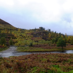 mountain with bracken and trees and river