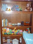 His shelves with his books, toys and stuff on them
