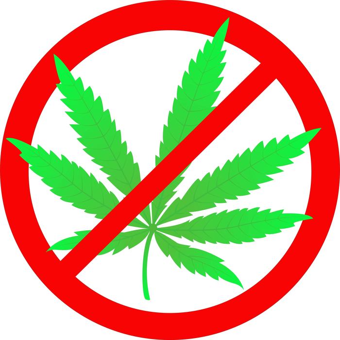 Marijuana is a harmful and noxious drug