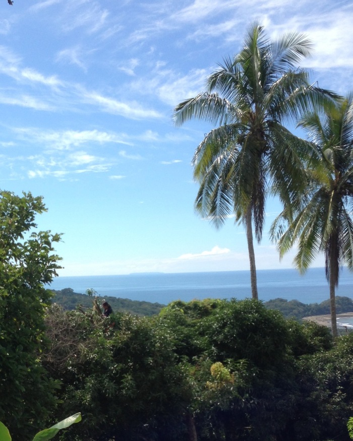 The big view
Costa Rica