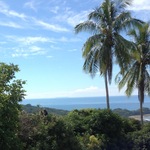The big view
Costa Rica