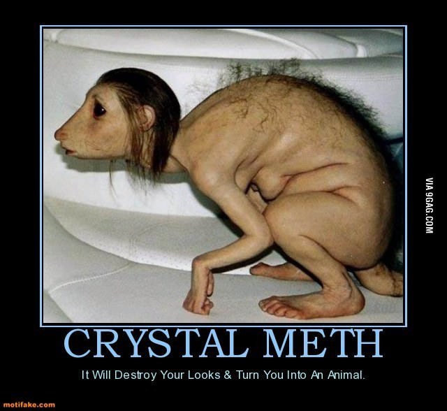 crystal meth / deadbeats drug 