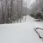 Snow this morning....so far.  Much more to come!