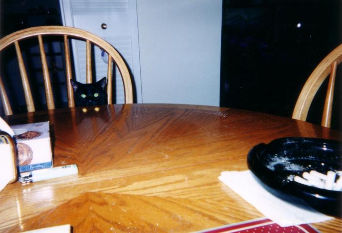 How spooky is this, you can see Lucky's eyes in my wooden table