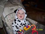 Ty's 1st Hallowween ! he is a puppy