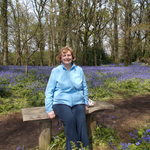 May 2014.  Visit to a beautiful bluebell wood
