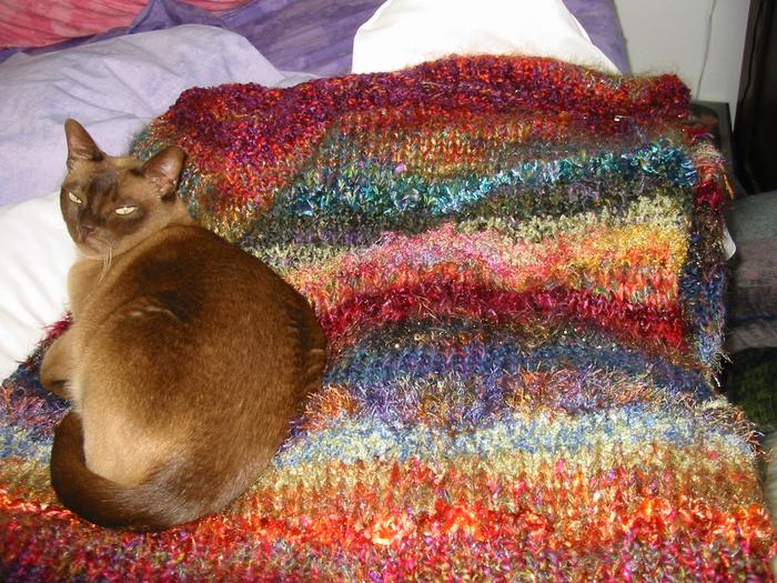 Amy on knitted throw