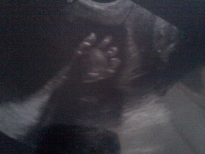 Waving hi to mommy and daddy.