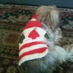 Crochet Christmas Dog sweater