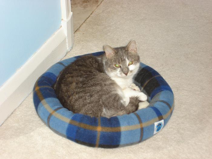 Lily in her little bed