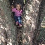 Girls climb trees too!!