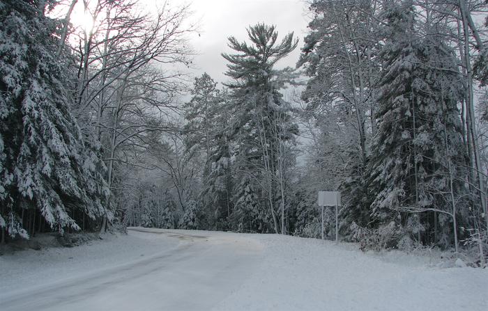 The road South, off my cabin trail. Can't wait to get on it come X-Mas !