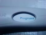 definantly pregnant