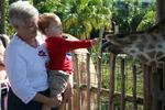 Feeding a giraffe at the zoo on Eli's 2nd birthday