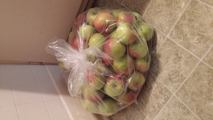 Got my apples ready for baking!