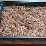 Fresh out of the oven apple crisp!