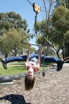 DCM turned my world upside down. This is one of the last "healthy me" pics taken before diagnosis