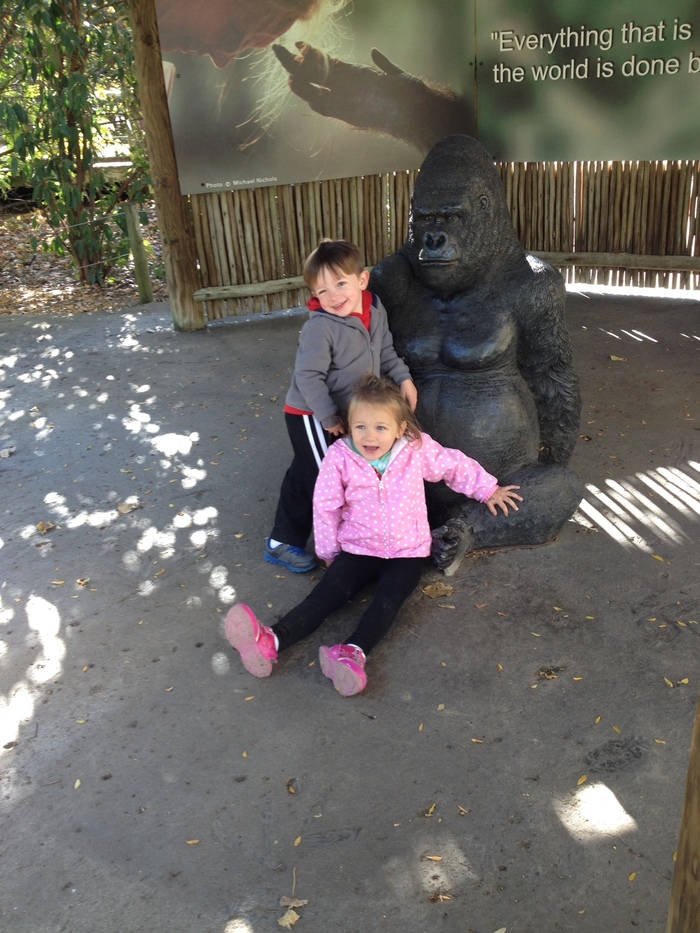 Cami-
Drake-
Fun at the zoo...